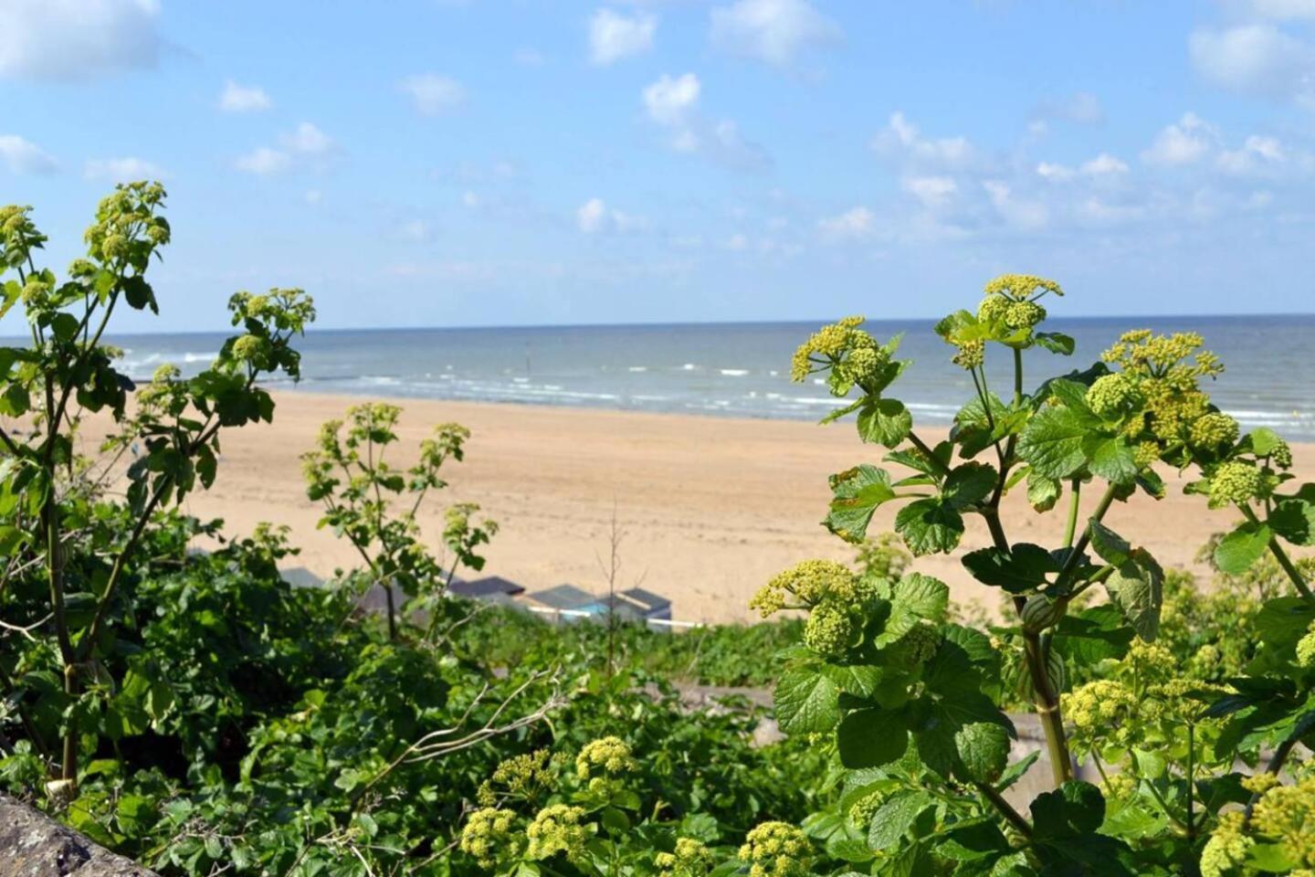 By The Bay - Mins To & Beaches Wparking Apartment *